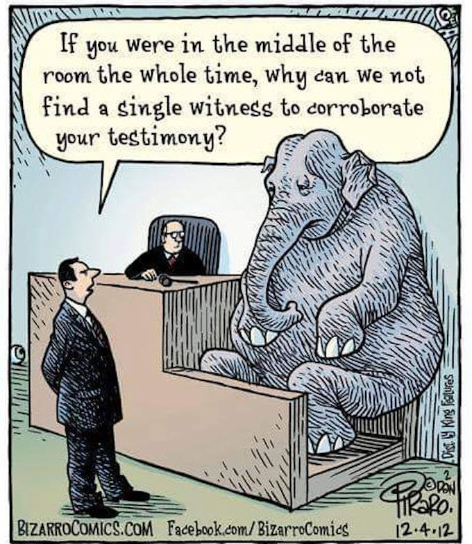 Elephant in the room