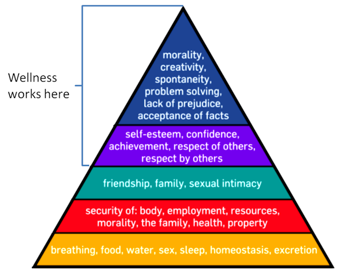 Maslow's Heirachy of Good Health