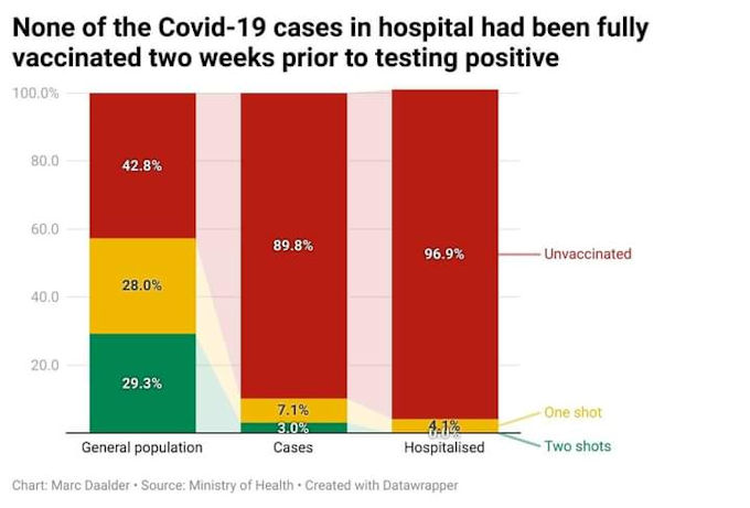 Hospital Cases Auckland