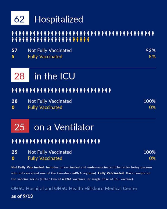 USA Hospital Cases